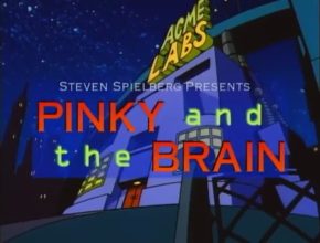 PINKY AND THE BRAIN - THAT SMARTS (S1 E3) & BRAINS SONG (S2 E6)